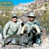 36_Gene Mestas